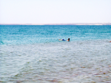 死海（イメージ）