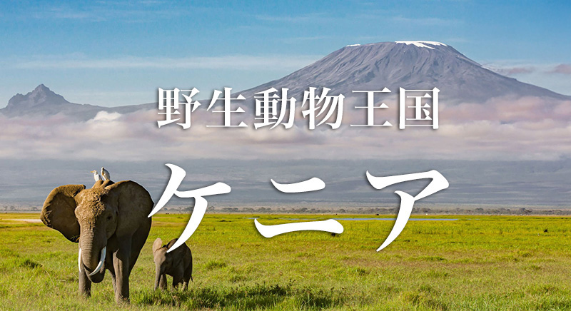 野生王国ケニア