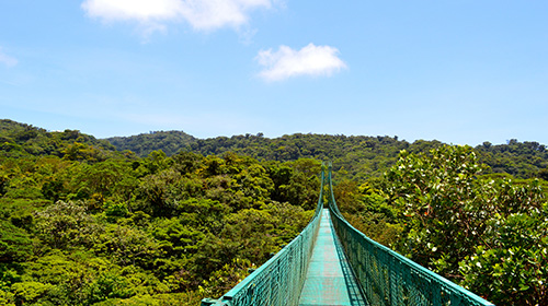 スカイウォーク