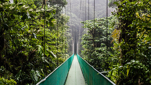 スカイウォーク