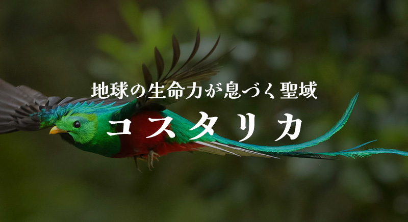 地球の生命力が息づく聖域 コスタリカ