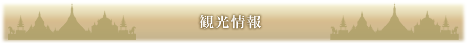 観光情報 観光情報