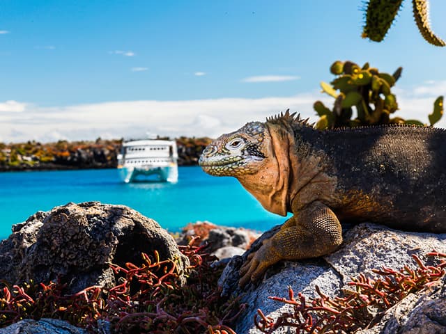 サウスプラザ島