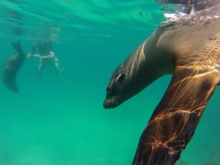 サウスプラザ島