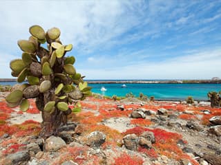 サウスプラザ島
