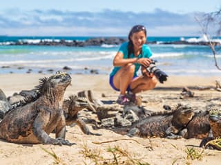 サウスプラザ島