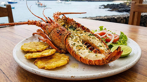 ガラパゴス・ロブスター