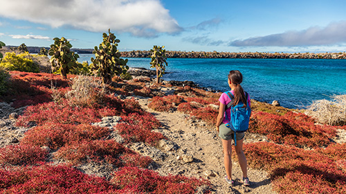 ノースセイモア島