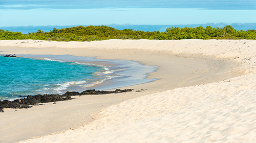 バチャスビーチ