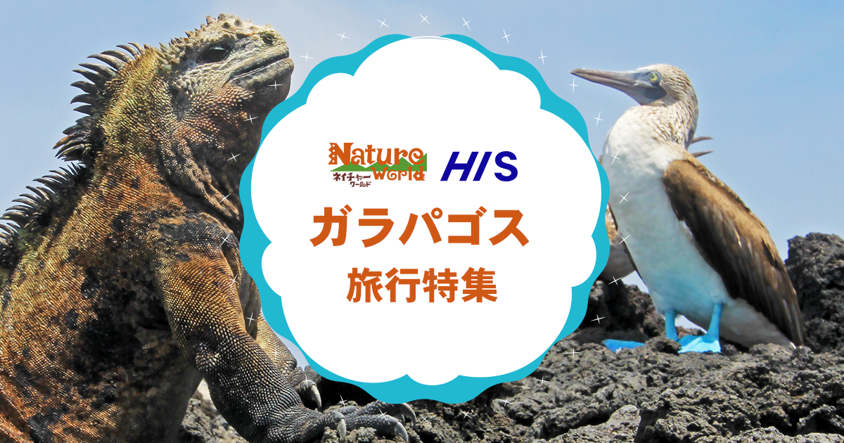 ガラパゴス旅行・ツアー｜HISネイチャーワールド