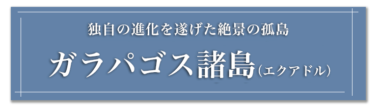 独自の進化を遂げた絶景の孤島 ガラパコス