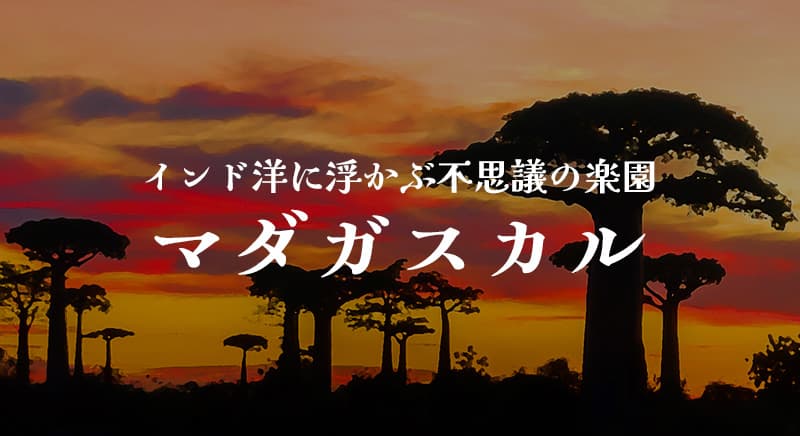 インド洋に浮かぶ不思議の楽園 マダガスカル