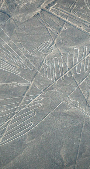 マダガスカルのベストシーズン