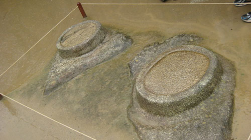 ベローシファカ