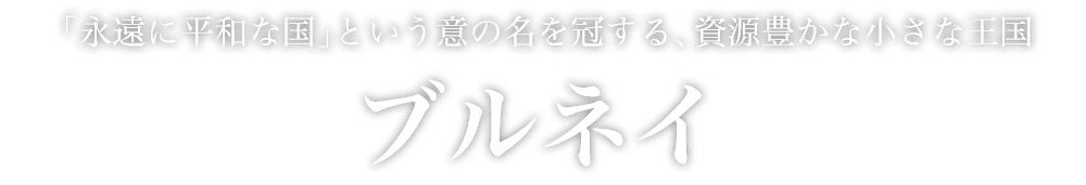 「永遠に平和な国」という意の名を冠する、資源豊かな小さな王国
ブルネイ