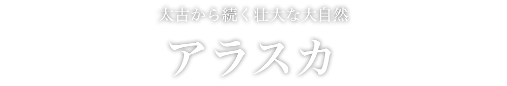 天空の鏡 ウユニ塩湖が旅人を魅了する国
ボリビア