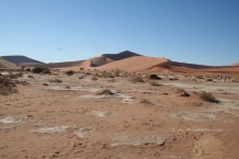 ツアーを通して特に印象に残ったこと　【ナミブ砂漠の砂丘（ビッグダディー）】