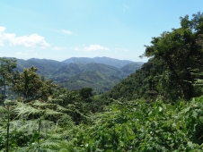 熱帯雨林の絶景も（イメージ）