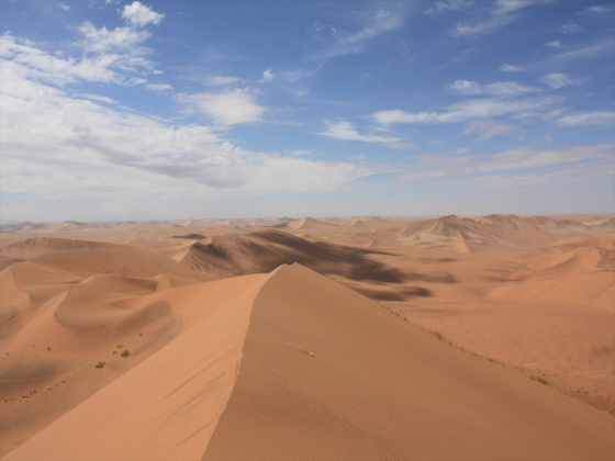 ナミブ砂漠（イメージ）