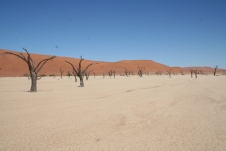 ナミブ砂漠最奥のデッドフレイ（イメージ）
