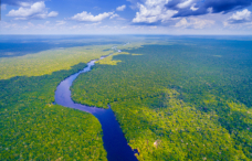 イグアスの滝＆アマゾンのジャングル滞在を楽しむ！ 大自然ブラジル紀行 9日間